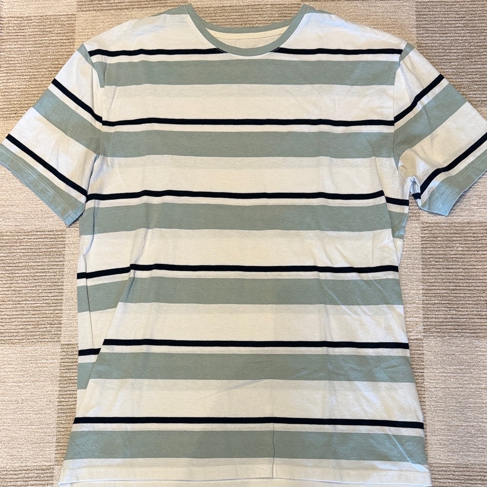 Striped Men's RW&CO. Shirt in Green and White